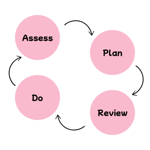 assess, plan, do, review