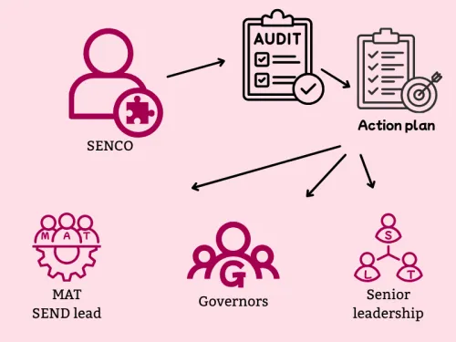 senco writes audit and action plan for internal staff